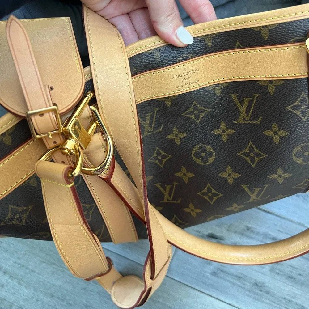 Louis Vuitton Dog Carrier Travel Bag